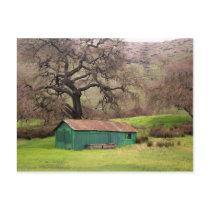 Morgan Hill Barn postcards