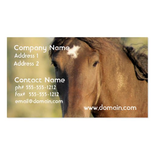 Morgan Horse Business Cards (front side)