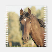 Morgan Horse Magnet