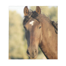 Morgan Horse Notepad