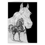 Morgan Horse Spirit Drawing by Kelli Swan cards