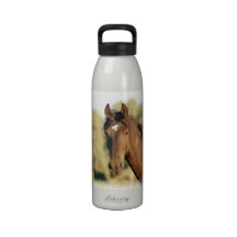 Morgan Horse Water Bottle