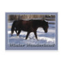 Morgan Horse Winter Wonderland Postcard