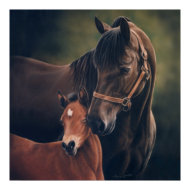 Morgan Mare and Foal by Lynn Peterson Poster print