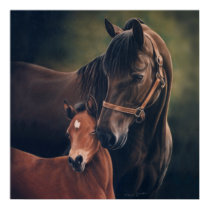 Morgan Mare and Foal by Lynn Peterson Poster posters