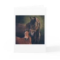 Morgan Mare and Foal Cards