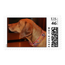 Morgan stamps