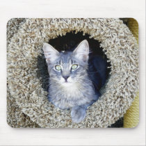 Morgan The Mouse Chaser Mouse Pad. mousepads by Congress_Arizona Morgan The Mouse Chaser Mouse Pad. mousepads