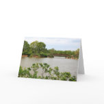 Morikami Bridge II cards