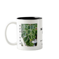 Moringa the Incredible Edible Tree mug