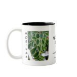 Moringa the Incredible Edible Tree Mug