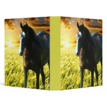 MORISCO AT SUNSET 1" Ring Binder