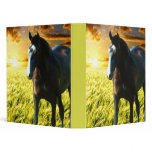 MORISCO AT SUNSET 1" Ring Binder