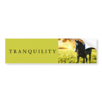 MORISCO AT SUNSET BUMPER STICKERS