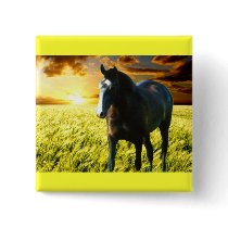 MORISCO AT SUNSET BUTTON