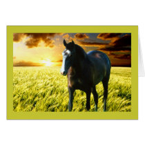 MORISCO AT SUNSET GREETING CARD