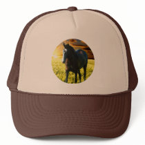 MORISCO AT SUNSET TRUCKER HAT