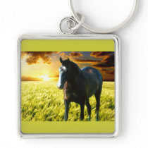 MORISCO AT SUNSET KEYCHAINS