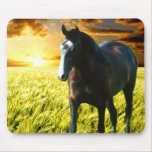 MORISCO AT SUNSET MOUSE PAD