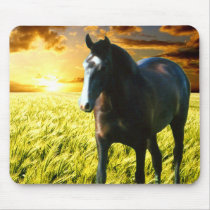 MORISCO AT SUNSET MOUSE PAD
