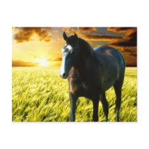 MORISCO AT SUNSET POSTCARD