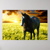 MORISCO AT SUNSET Poster