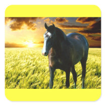 MORISCO AT SUNSET STICKER