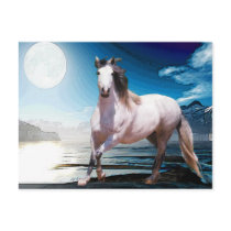 MORISCO IN MOONLIGHT POSTCARDS