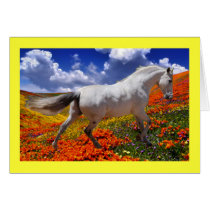 MORISCO IN SPRING FLOWERS CARD