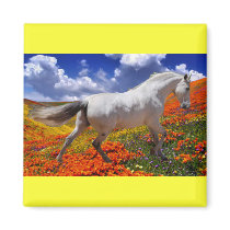 MORISCO IN SPRING FLOWERS MAGNETS