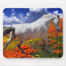 MORISCO IN SPRING FLOWERS MOUSEPADS