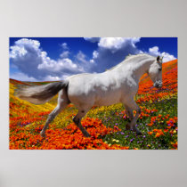 MORISCO IN SPRING FLOWERS Poster