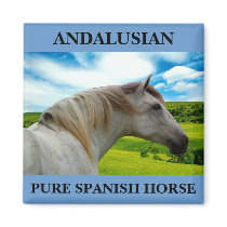 MORISCO IN SUMMER FRIDGE MAGNETS