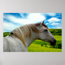 MORISCO IN SUMMER Poster