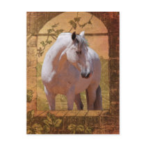 MORISCO IN THE WINDOW POST CARDS