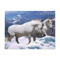 MORISCO & OSADA SNOW PLAY POSTCARD