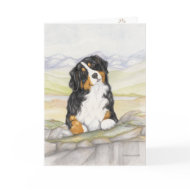 Moritz card