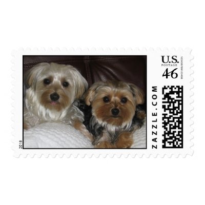 Morkies Stamp by janiecarlton