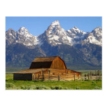 Mormon Barn Postcard