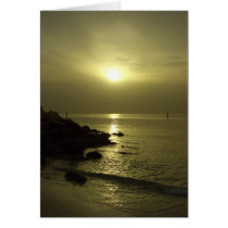 Morning Beauty cards