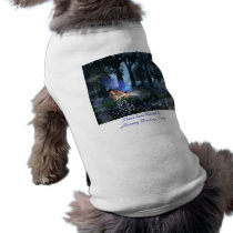 Morning Blessings Fairy pet clothing