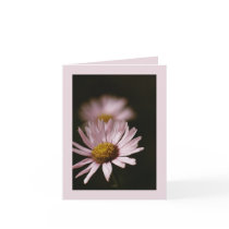 Morning Blush: Note Card