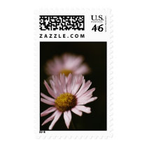 Morning Blush: US Postage Stamps by occasionsforyou Morning Blush: US Postage Stamps