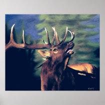 Morning Call Print