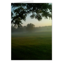Morning cards