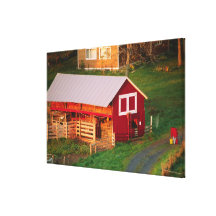 Morning chores on the farm. USA, Vermont, Gallery Wrap Canvas