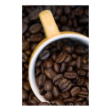 Morning Cup Poster posters