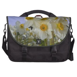 Morning Daffodils Laptop Bag