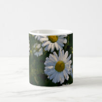 Morning Daisies mug mugs