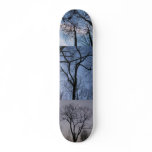 morning day and night skate decks